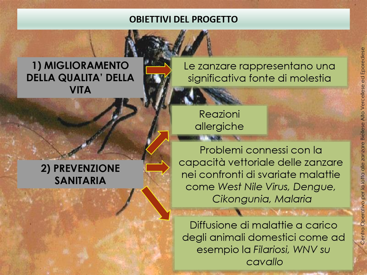 IL PROGETTO REGIONALE_page-0002