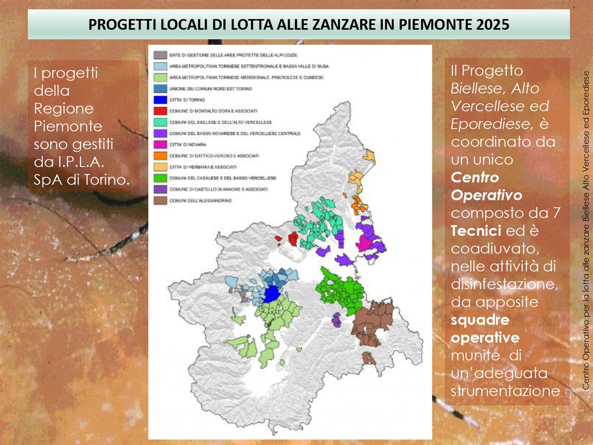 IL PROGETTO REGIONALE_page-0003