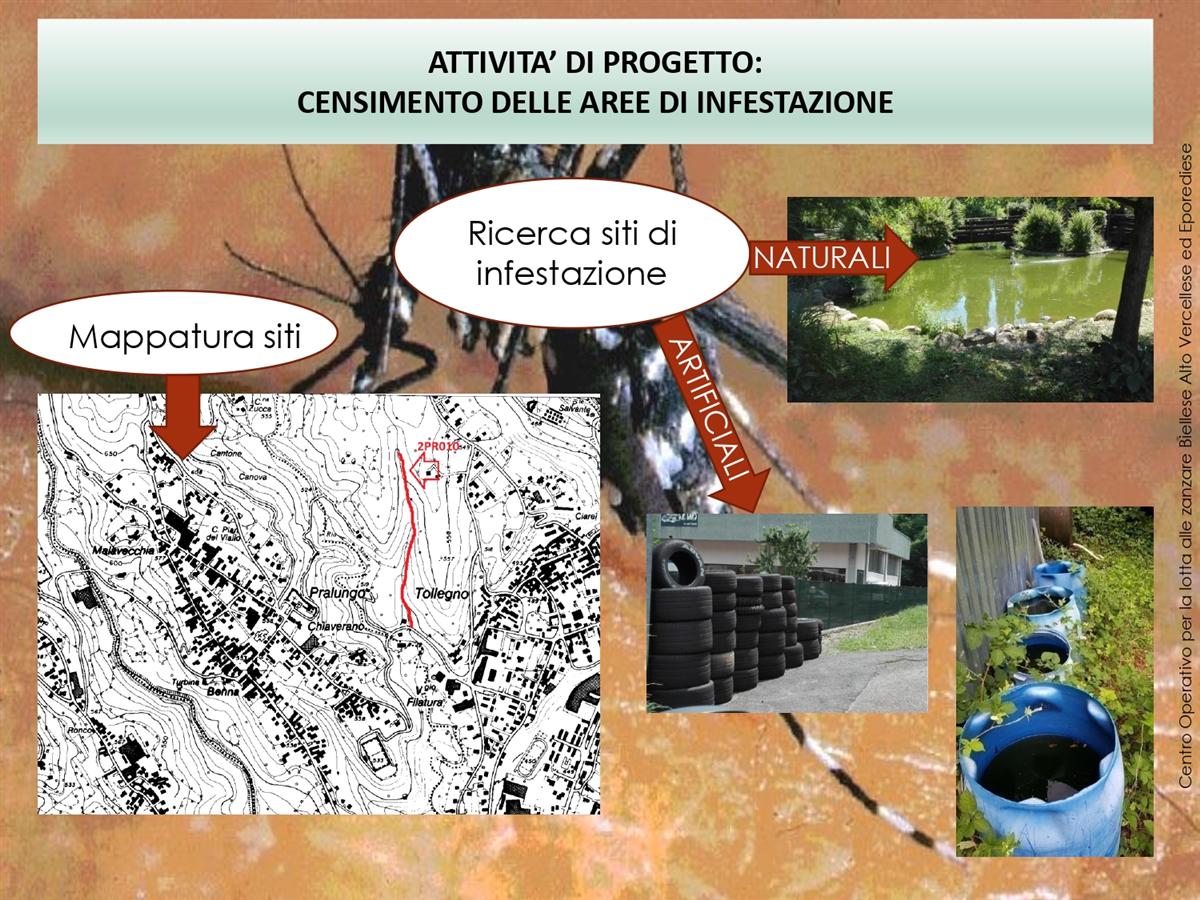 IL PROGETTO REGIONALE_page-0004
