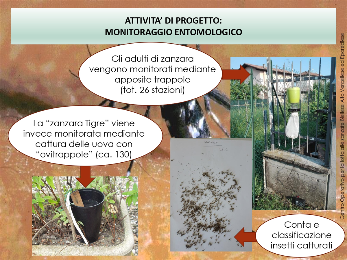 IL PROGETTO REGIONALE_page-0005