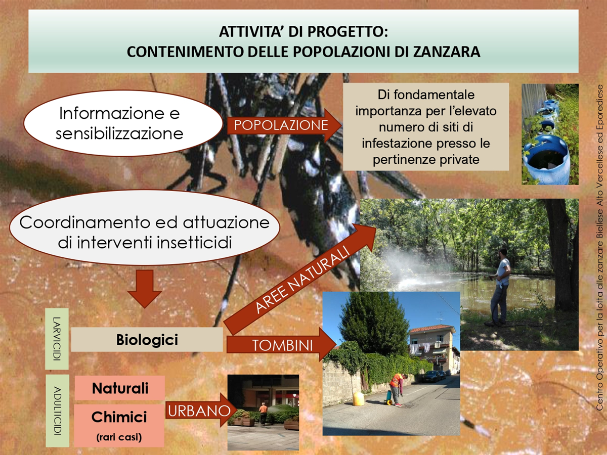 IL PROGETTO REGIONALE_page-0006