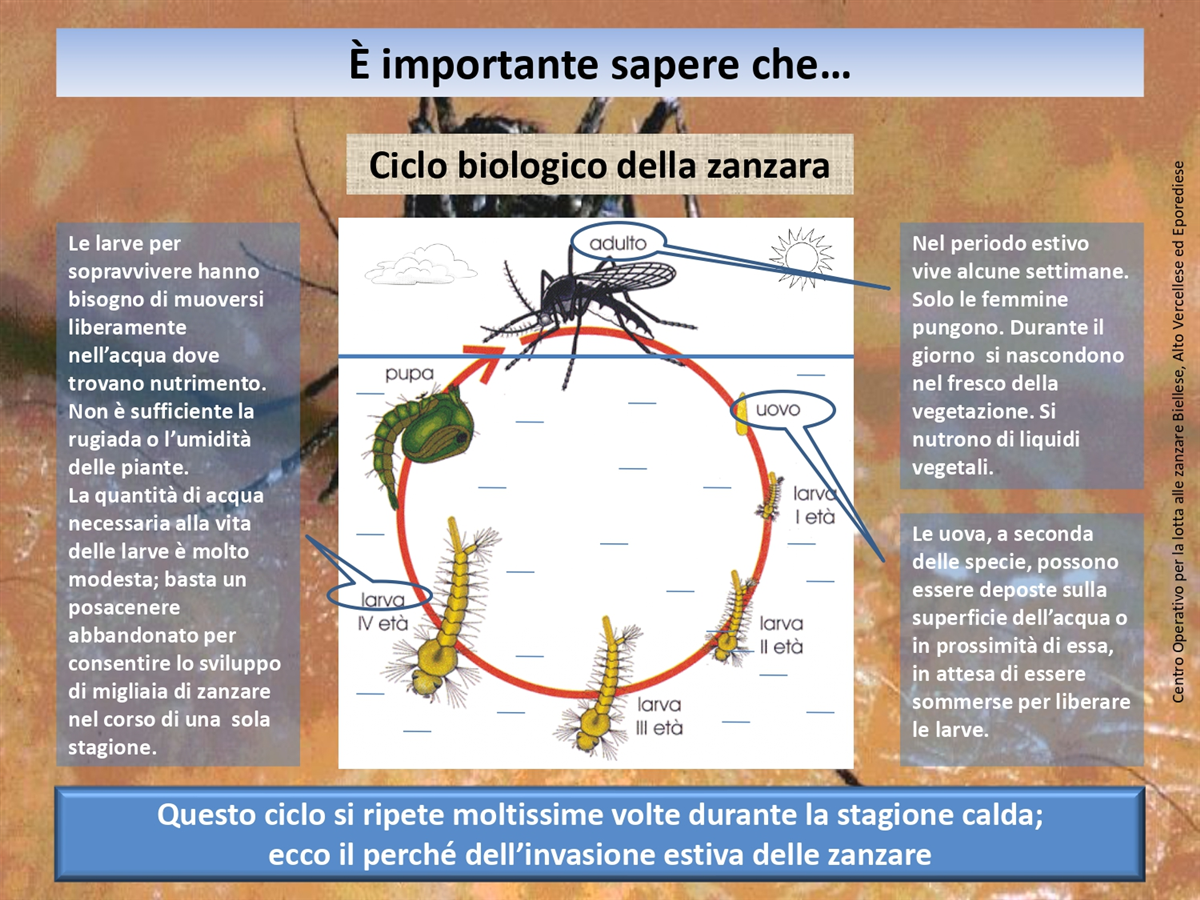 e importante sapere che_page-0001