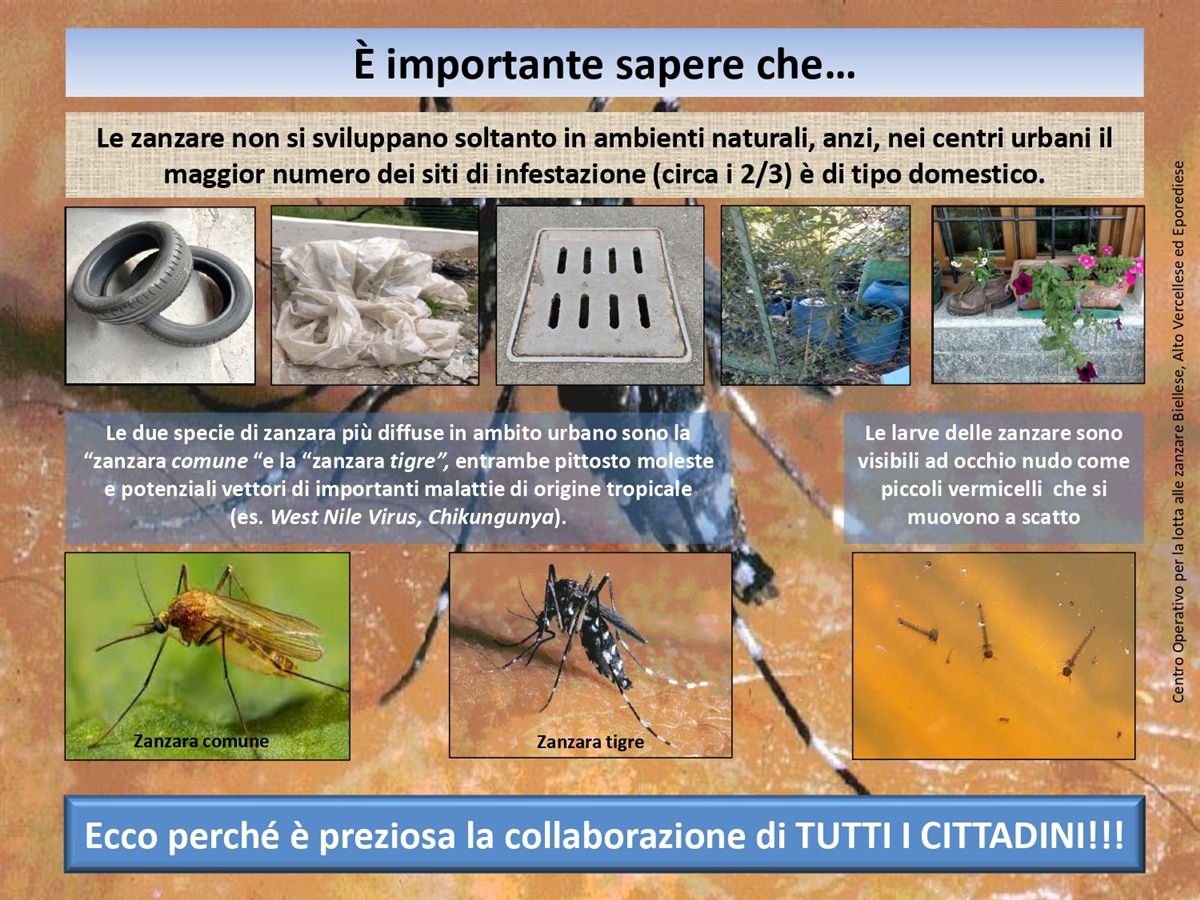 e importante sapere che_page-0002