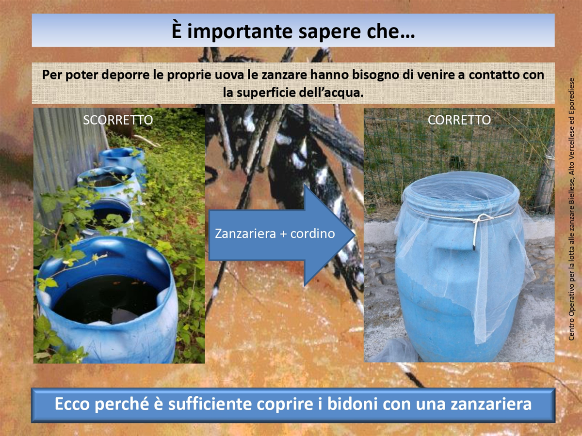 e importante sapere che_page-0003